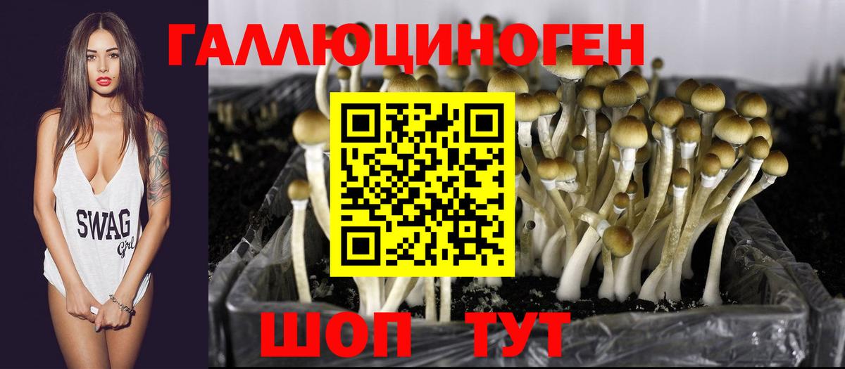 Ялта  Псилоцибиновые грибы мухоморы  где купить   Псилоцибиновые грибы мухоморы  Вход с VPN 