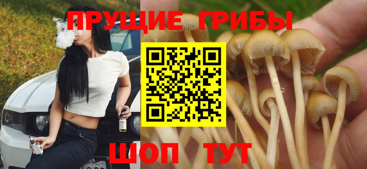 Галлюциногенные грибы Magic Shrooms Ялта